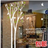 创意客厅卧室餐厅特大号大树英文版 大型橱窗玻璃墙贴纸画 包邮