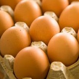 杭州同城配送洋鸡蛋新鲜蛋类500g/8个盒装只发杭州同城部分区域