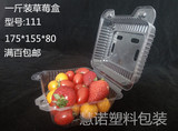 草莓包装盒透明一次性果蔬包装盒塑料水果沙拉盒透明水果盒一斤装