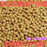 东北黑龙江有机非转基因农家自种土黄豆做豆浆发豆芽专用杂粮山地