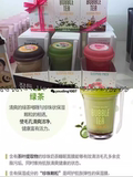 韩国正品代购ETUDE 伊蒂之屋珍珠奶茶睡眠面膜 草莓保湿滋润美白