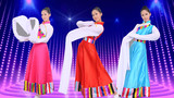 新款特价藏族舞女成人舞蹈服水袖演出服装藏服长袖款民族表演服饰