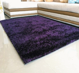 卧室通用南韩丝地毯可定做地毯特价包邮韩国丝加亮丝地毯客厅茶几