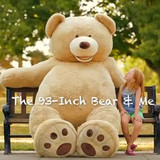 正版泰迪熊公仔大号毛绒玩具美国大熊玩偶熊猫生日礼物女生抱抱熊