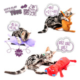 台湾Amy Carol短毛绒猫人形猫偶 猫玩具 宠物猫咪响纸玩具
