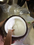 新鲜水果菲诺椰奶冻海南进口椰子冻 椰奶冻1个 椰青椰皇顺丰快递