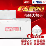 XINGX/星星 BD/BC-406E 大冰柜商用冷柜大型冷冻冷藏卧式单温雪柜