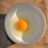 土鸡蛋农家散养新鲜包邮 纯天然笨鸡蛋 正宗草鸡蛋当天月子柴鸡蛋