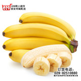 新鲜水果 香蕉 五斤装 海南香蕉 软糯好吃西安同城送货