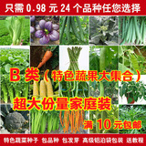 B款24种特色蔬菜种子 种植阳台庭院家庭菜籽春秋冬四季易种植包邮