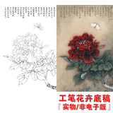 CB21高清国画花卉牡丹工笔画白描底稿线描稿练习实物电子版打印稿