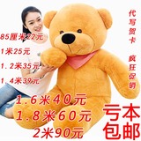 毛绒玩具泰迪熊布娃娃抱枕公仔大号抱抱熊大熊生日礼物女1.6米1.8
