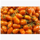 丹东99草莓地小柿子草莓番茄东港409小柿子圣女果纯生态有机水果