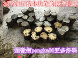 金丝楠木木料四川特产实木DIY原木乌木绿料黄料木3斤到4斤木块