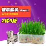 包邮 水晶猫草套装大麦种子送猫薄荷猫咪去毛球调肠胃宠物猫零食