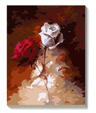 正品数字油画diy油画 客厅风景唯美花卉手绘装饰画40*50 玫瑰之恋