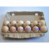 12枚鸡蛋托12枚纸浆鸡蛋盒12枚土鸡蛋蛋盒12枚土鸭蛋蛋盒12枚蛋盒
