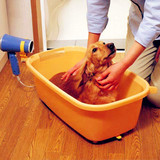 包邮宠物洗澡盆-猫狗狗浴盆-中小型犬猫泰迪贵宾吉娃娃比熊澡盆