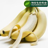 广西特级现摘应季青皮 新鲜香蕉 无催熟剂无公害绿色热带水果 6斤