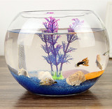 透明圆缸 圆形金鱼缸 生态创意 玻璃鱼缸 金鱼缸 水培缸花瓶 特价