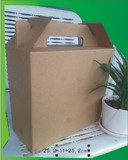 鸡蛋干货蔬菜土特产农副产品包装盒包装箱无印刷空白提手礼盒