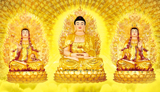 佛教画像 佛像 西方三圣 经文背景 阿弥陀佛 西方三圣接引图 琉璃