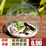 悬挂透明圆形玻璃花瓶 多肉植物水培花瓶 微景观简约桌面摆放花瓶