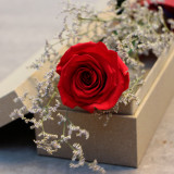 红玫瑰保鲜花单朵1只支高杆进口高端永生花玫瑰礼盒北京速递包邮