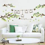 绿色清新相框树大型背景墙贴纸温馨客厅沙发墙上贴画可移除照片墙