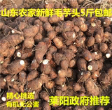 新鲜芋头小香芋山东农家产品有机蔬菜胜荔浦芋头特产芋艿10斤包邮