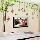 绿色田园温馨记忆相框照片树墙贴纸墙画客厅卧室婚房墙壁装饰贴画