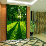 大型壁画 田园玄关竖版背景墙壁纸 3D立体墙纸 自然阳光森林风景