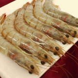 【97食铺】厄瓜多尔白虾 鲜甜弹牙 南美海白虾 活冻 40/50 500G
