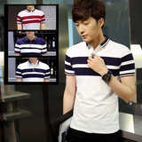 青年夏季短袖t恤男士polo衫带领韩版休闲翻领男装条纹微领保罗衫
