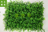 仿真绿植富贵草绿色植物家居装饰室内绿化墙门头墙面装饰包邮批发