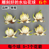 [转卖]漳州雕刻好的水仙花种球大球种子复瓣批发水培双重瓣室内