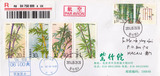 14竹子个性化邮票加贴竹子邮票公函封北京首日实寄澳门
