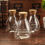 透明玻璃瓶带木塞玻璃容器幸运瓶许愿瓶漂流瓶插花瓶星星瓶