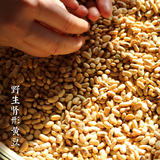 陕北农家有机野生古老品种长粒肾形非转基因大黄豆可发豆芽打豆浆