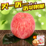 泉源山东特产烟台苹果栖霞红富士10斤脆甜新鲜水果非阿克苏冰糖心
