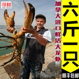 【寻鲜】加拿大进口海鲜鲜活水产波士顿大龙虾6斤/只包新鲜包邮