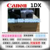 Canon/佳能EOS-1DX单机（24-70mmF/2.8II）镜头套机！带票出！
