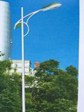 厂家直销 新农村改造7米太阳能路灯灯杆道路灯节能