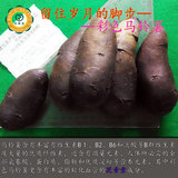 留住岁月脚步-绿色马铃薯新鲜黑土豆金刚自种蔬菜包邮火锅食材
