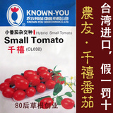 原装台湾农友千禧小番茄西红柿种子 种子粉红色小番茄最好吃品种