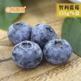 顺丰包邮！智利进口新鲜蓝莓125g*6盒 鲜果水果蓝梅冰袋保鲜发货