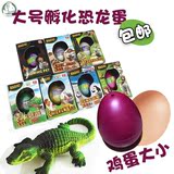 小号恐龙蛋 膨胀泡水玩具 恐龙孵化复活蛋儿童创意玩具 2份包邮