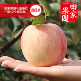 烟台红富士野生无菌苹新鲜水果采摘霜降脆甜12个80苹果6.6斤包邮