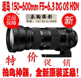适马 150-600mm f/5-6.3 DG OS HSM Sports 远射 适马150-600镜头
