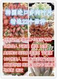 多肉植物叶片种子 多肉叶片叶插组合套餐韩国进口贵货格林红宝石